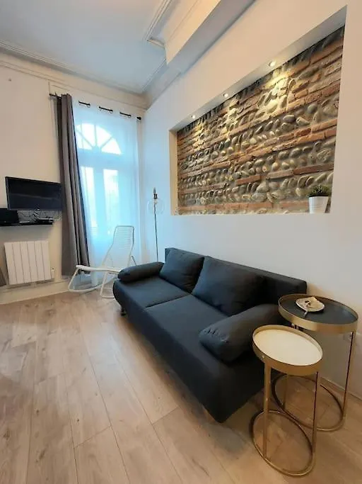 Apartment Toulouse Centre Compans Caffarelli Superbe Studio France